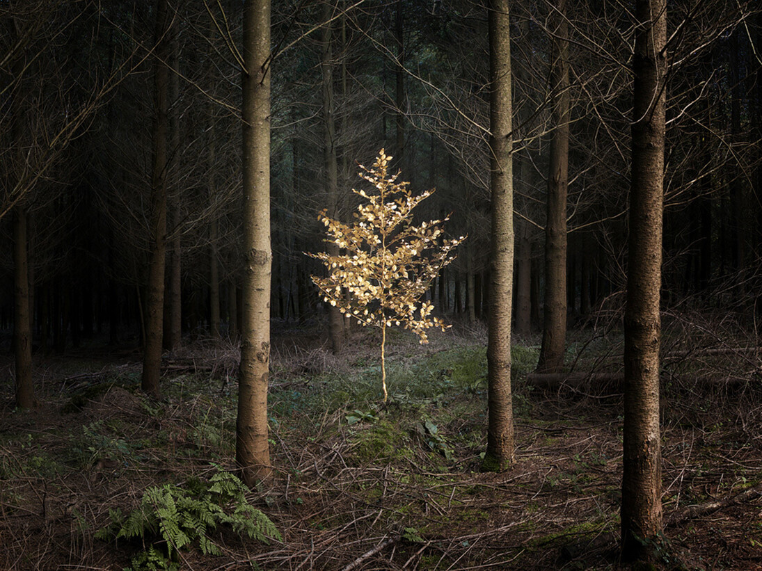 Ellie Davies (b. 1976) ‘Smoke and Mirrors 5’, 2010
