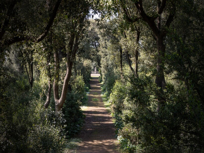 Villa Medici, Roma, Italia. I giardini