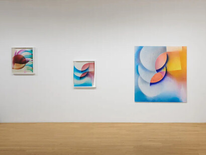 Mariah Robertson, Portraits, exhibition view. Courtesy of Chart