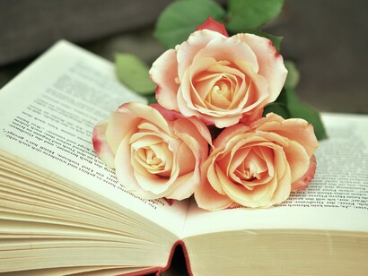 As flores perfumadas sobre a literatura