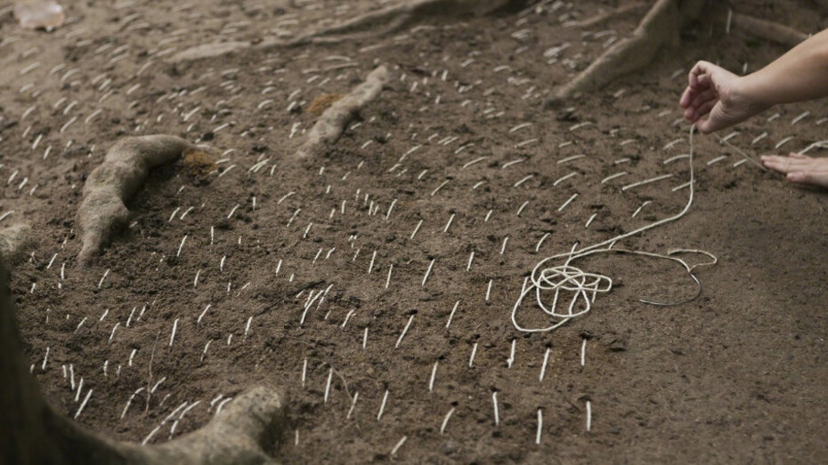 Pore. Courtesy of New Brunswick Museum