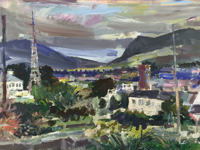 William Selwyn, View for Bron Eryri