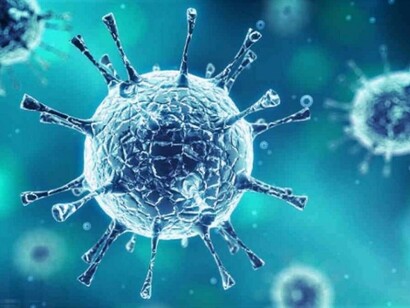 Le malattie di cui soffre un essere umano possono infatti derivare da vari microorganismi