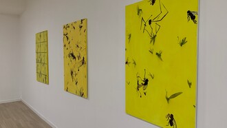 Vista della mostra di Jaan Toomik, Flies (2022), acrilico su tela