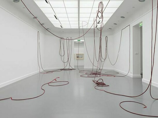 Sheela Gowda, ‘‘And… ‘’, 2007, Pigment, glue, kumkum, steel, Exhibition view, Open Eye Policy, Van Abbemuseum, Eindhoven, 2013, Courtesy of the artist and Galleryske, Bangalore, © Peter Cox