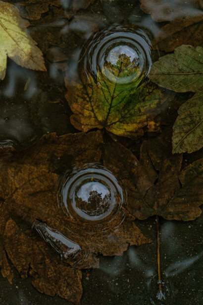 Nel testo, sul palco o attraverso altri medium è possibile farlo, andando oltre i limiti imposti dal reale e mantenendo una traccia di tutto il processo