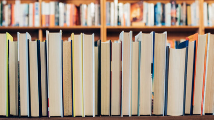 Libros ordenados en una estantería