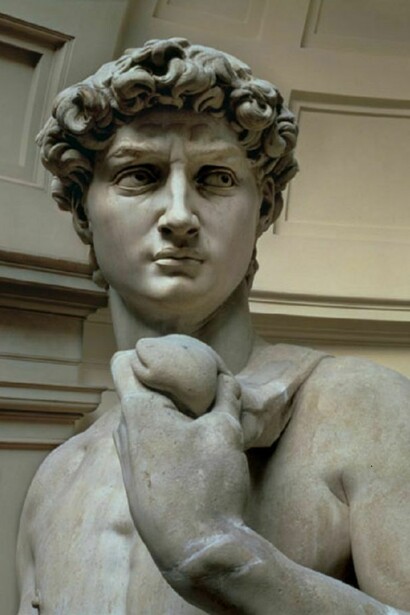 Il David di Michelangelo