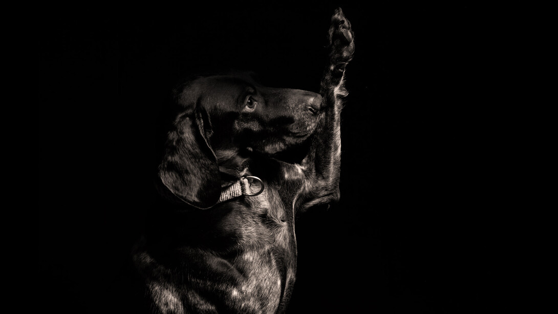 «Yo no quiero una tumba ni una cruz ni corona»