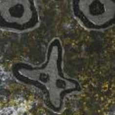 Jean Dubuffet. Courtesy of Galerie Lelong