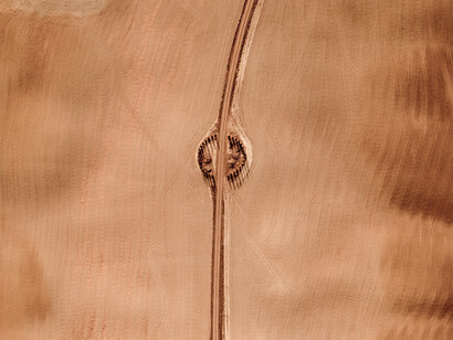 Cultura del territorio