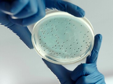 El futuro está en la biología digital: ya no solo leemos el ADN, ahora podemos tratarlo como información de computadora para escribir código genético y crear microbios sintéticos