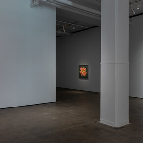 Laurent Grasso, Artificialis, exhibition view. Courtesy of Sean Kelly Gallery