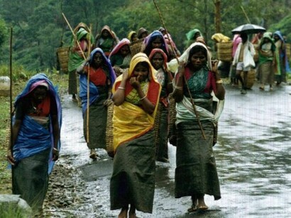 La zona del Darjeeling