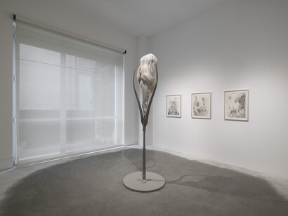 Ivana Bašić, Fantasy vanishes in flesh, exhibition view. Courtesy of Francesca Minini. Photo by Andrea Rossetti