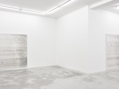 Thomas Fougeirol. Courtesy of Praz-Delavallade