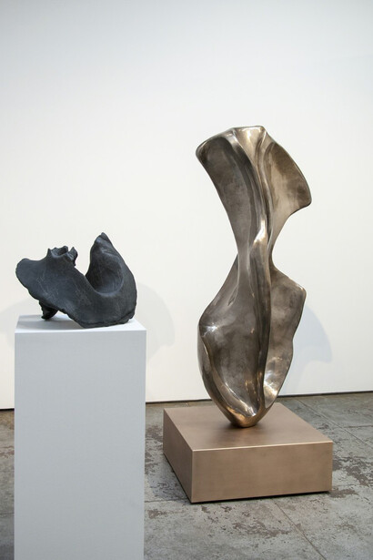 Nature of Things. Courtesy of Wilding Cran Gallery