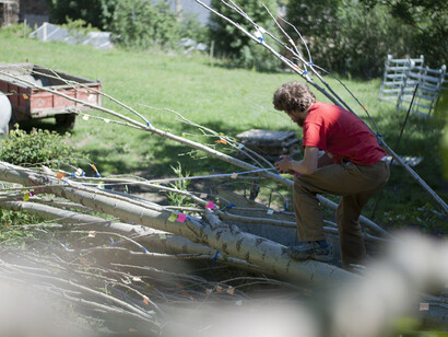 Pep Vidal. 19-metre tree. Image courtesy of ADN Gallery. Paula Artés (©)