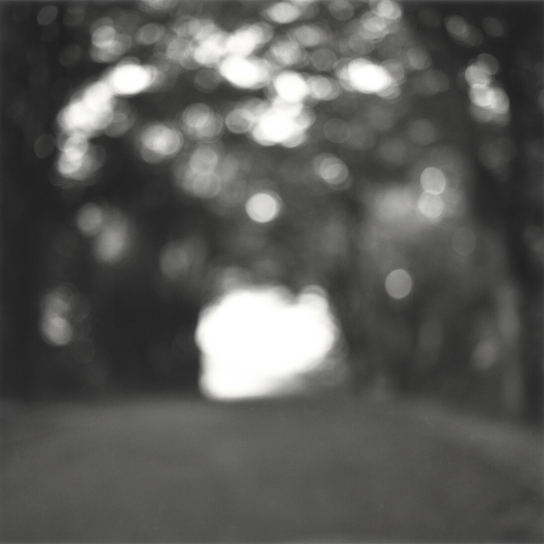Kirk Palmer, From the series Precious Fragments, 2014, b/w selenium toned silver gelatin hand print © Kirk Palmer