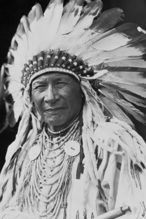 Duck Chief, Siksika Nation Provincial Archives of Alberta, from the Harry Pollard fonds, taken circa 1910