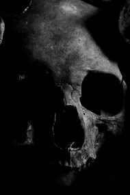 Human skulls emerging from shadow, representing history’s refusal to remain buried