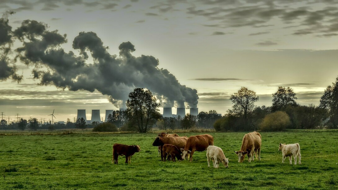 The juxtaposition between nature in the foreground and man's abuse leading to a toxic climate change in the background
