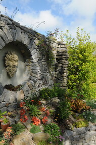 Ai piedi del muro in pietra, Carl Wright ha ambientato una collezione di sedum e semprevivi e di piccole piante alpine tra cui numerose specie di primula. Foto di Enzo Valenti