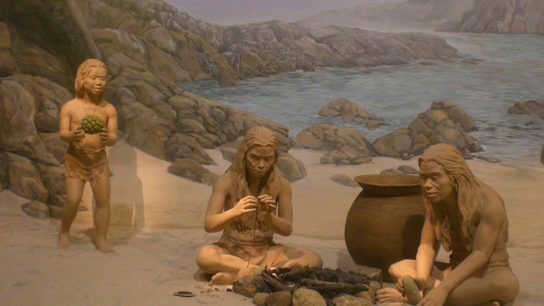 Tsim Sha Tsui Hong Kong Museum of History Prehistoric Hong Kong