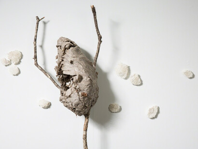 Fire and Peace. Courtesy of Jen Mauldin Gallery 