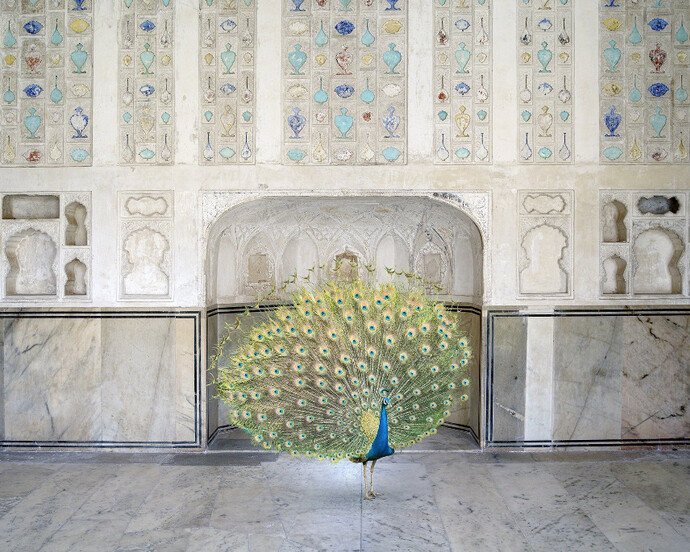 Karen Knorr. Courtesy of Jackson Fine Art 