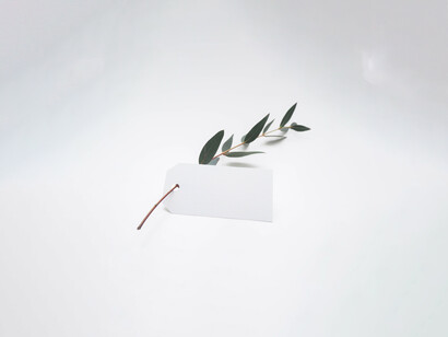 Il nostro modo di vivere non è compatibile con le logiche della natura