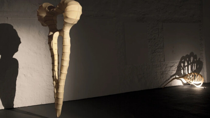 Penumbra. Courtesy of Galeria Nara Roesler