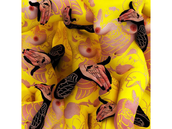 Kim Joon, Bird Land-Donald Duck, 2008, digital print, 47 x 47 inches/119.4 x 119.4 cm; image © 2008 Kim Joon