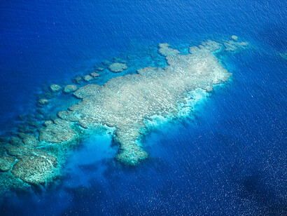 Barrier reef