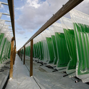 Bioreaktoren in Fort Myers, Florida, 2015 © Algenol Biofuels