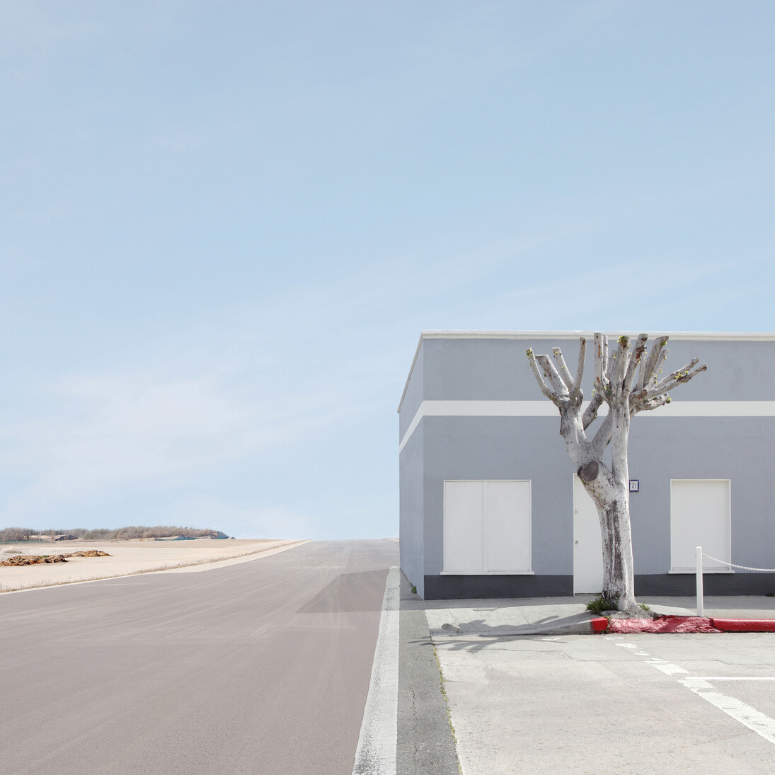 Lauren Marsolier, Building with Tree, 2010, 111,7 x 111,7 cm Ed. 1/7+1 E.A. 76,2 x 76,2 cm Ed. 2/7 +1 E.A. impression pigment sur papier archive