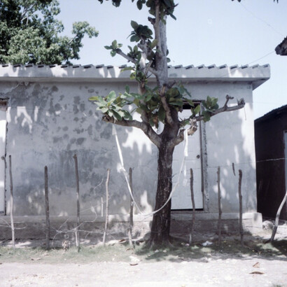 Finding Home. Courtesy of Spinello Projects