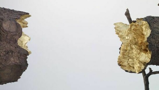 Giuseppe Penone, Detail 2008