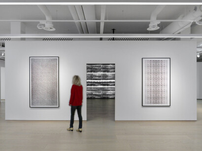 Michal Rovner. Courtesy of Pace Gallery