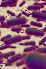 Une connexion cellulaire qui transforme la biologie