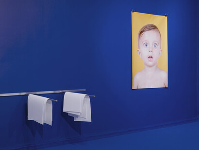 Camille Henrot, The Pale Fox (détail), 2014. Photo : Andy Keate