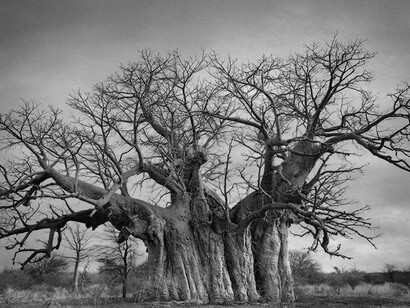 La forza della vecchiaia