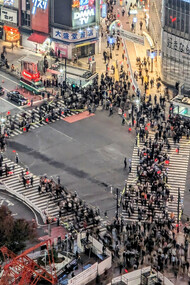 Shibuya Crossing, filmed and replicated in media countless times, Tokyo, Japan