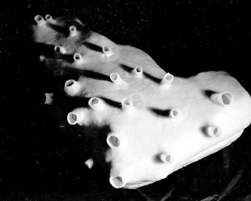 Up into the Unknown. Courtesy of Kunsthaus Graz 