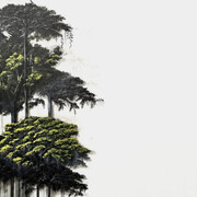 Camila Echavarria, Learning to fly. Courtesy of In The Gallery