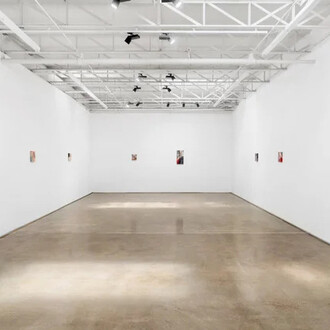 Jesse Zuo, Photosynthesis, exhibition view. Courtesy of Piero Atchugarry Gallery