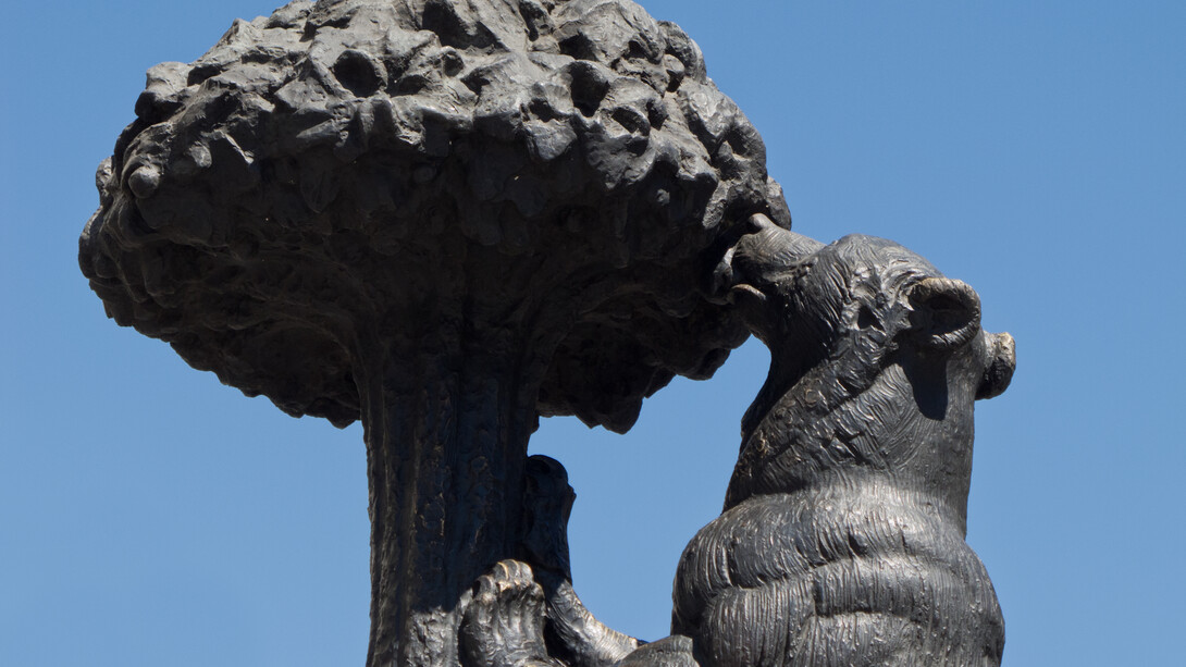 El Oso y el Madroño