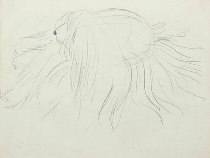 Anne Arnold, Dog, c. 1980, pencil on paper, 16 3/4 x 13 7/8 inches © Anne Arnold, courtesy Alexandre Gallery, New York