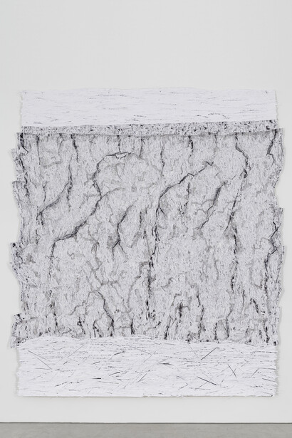 Blane De St. Croix, Glacier Front