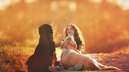 Menina brinca alegremente com seus cães